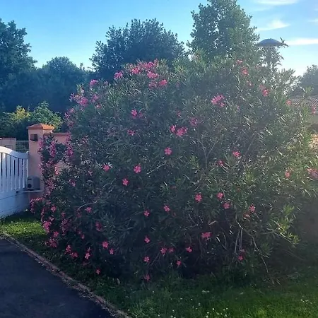 מלון Villa Vahine Paradise Suites & Spas 3*