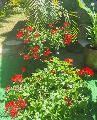 Villa Vahiné Paradise Suites&Spas Montauban